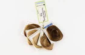 Concise Women’s Ventilated Marble Swatch (set of 5) - International Hairgoods